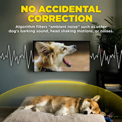 Dogtra IPX9K waterproof durability handles outdoor training.