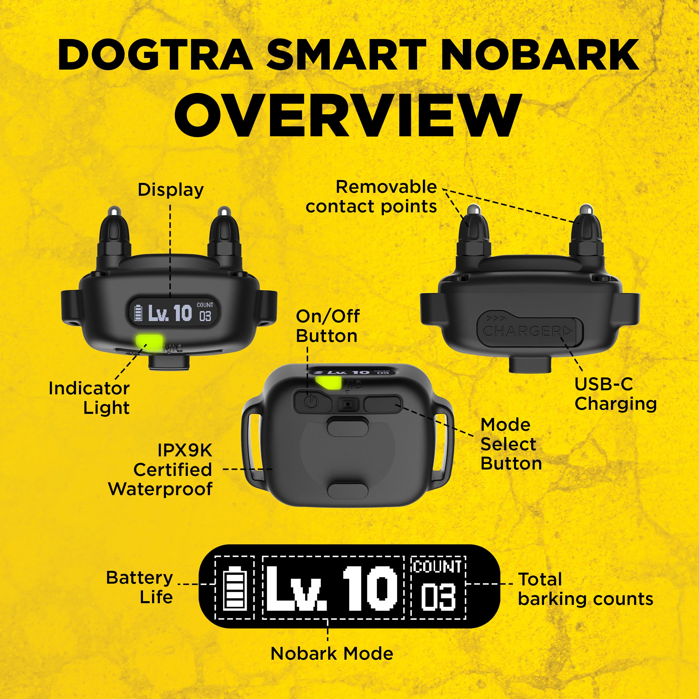 Dogtra Professional support and trusted training tools.