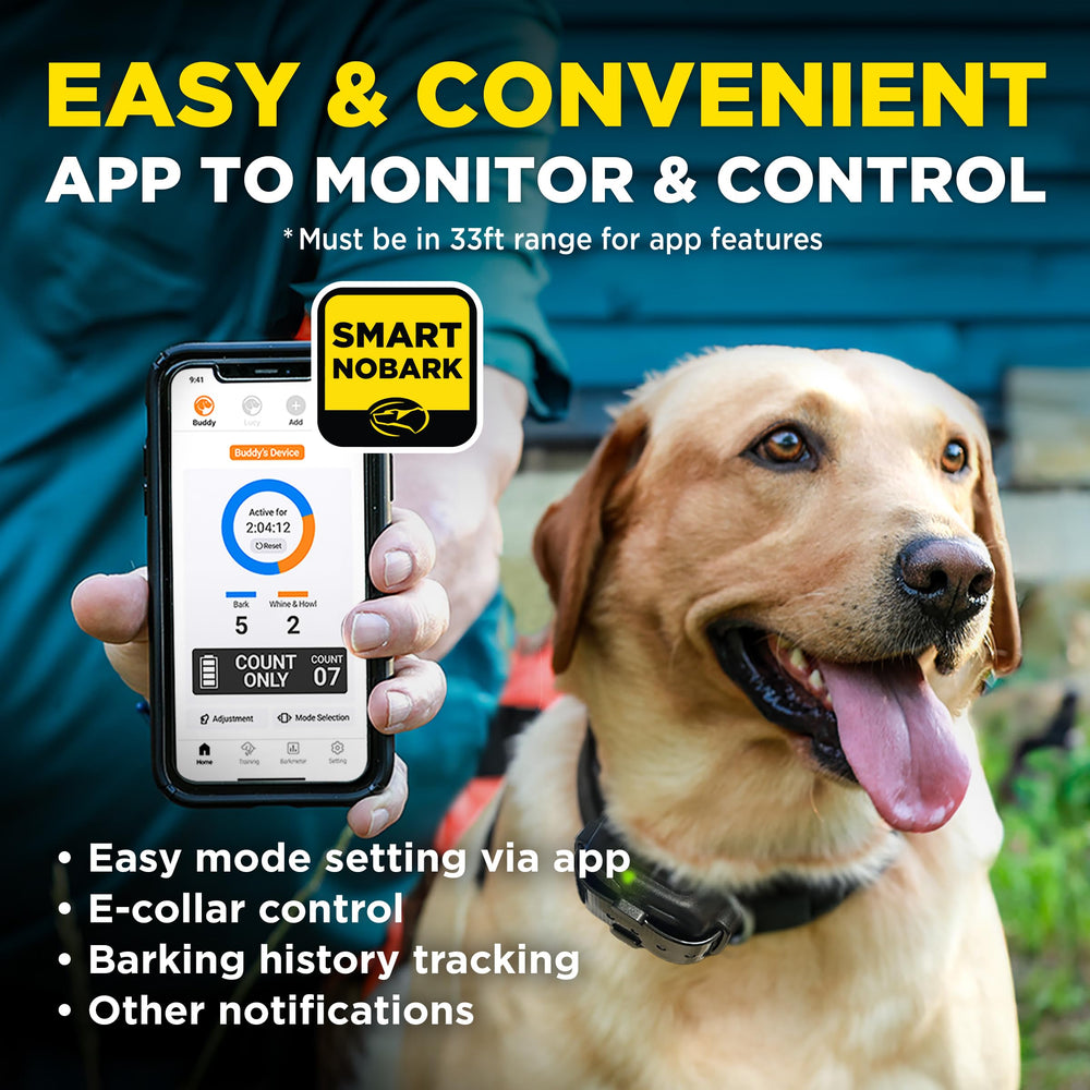 Dogtra removable contact points enhance comfort across coats.
