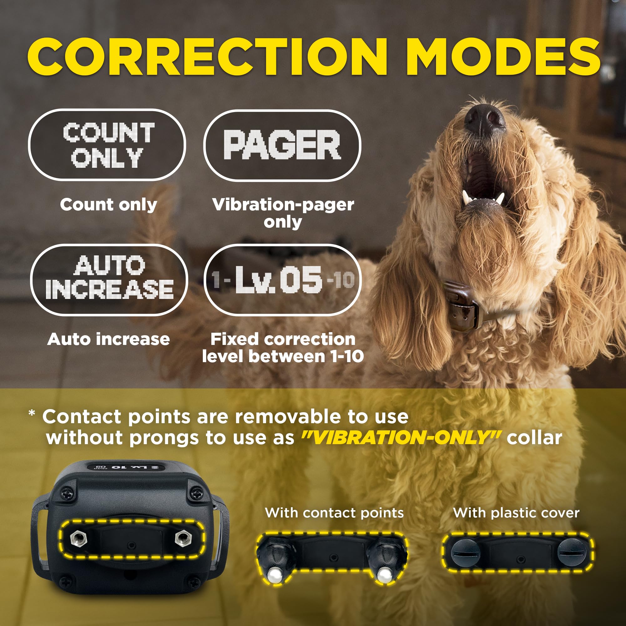 Dogtra USB-C fast charging powers quick sessions.