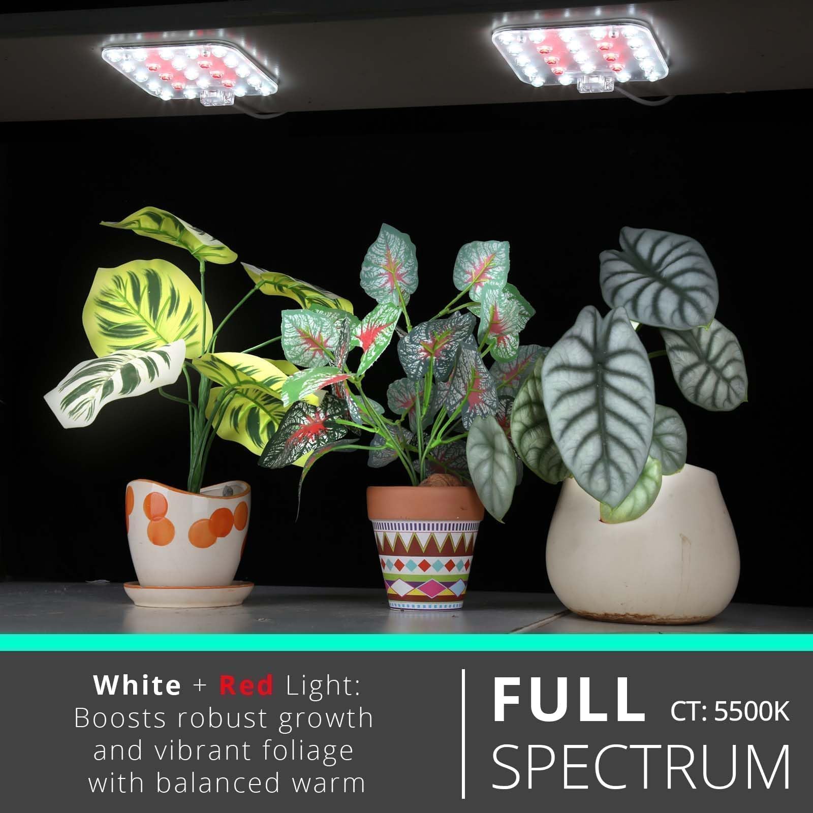DOMMIA under-shelf grow light with lens concentrates light on leaves for close-range coverage.
