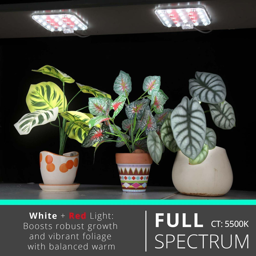 DOMMIA under-shelf grow light with lens concentrates light on leaves for close-range coverage.