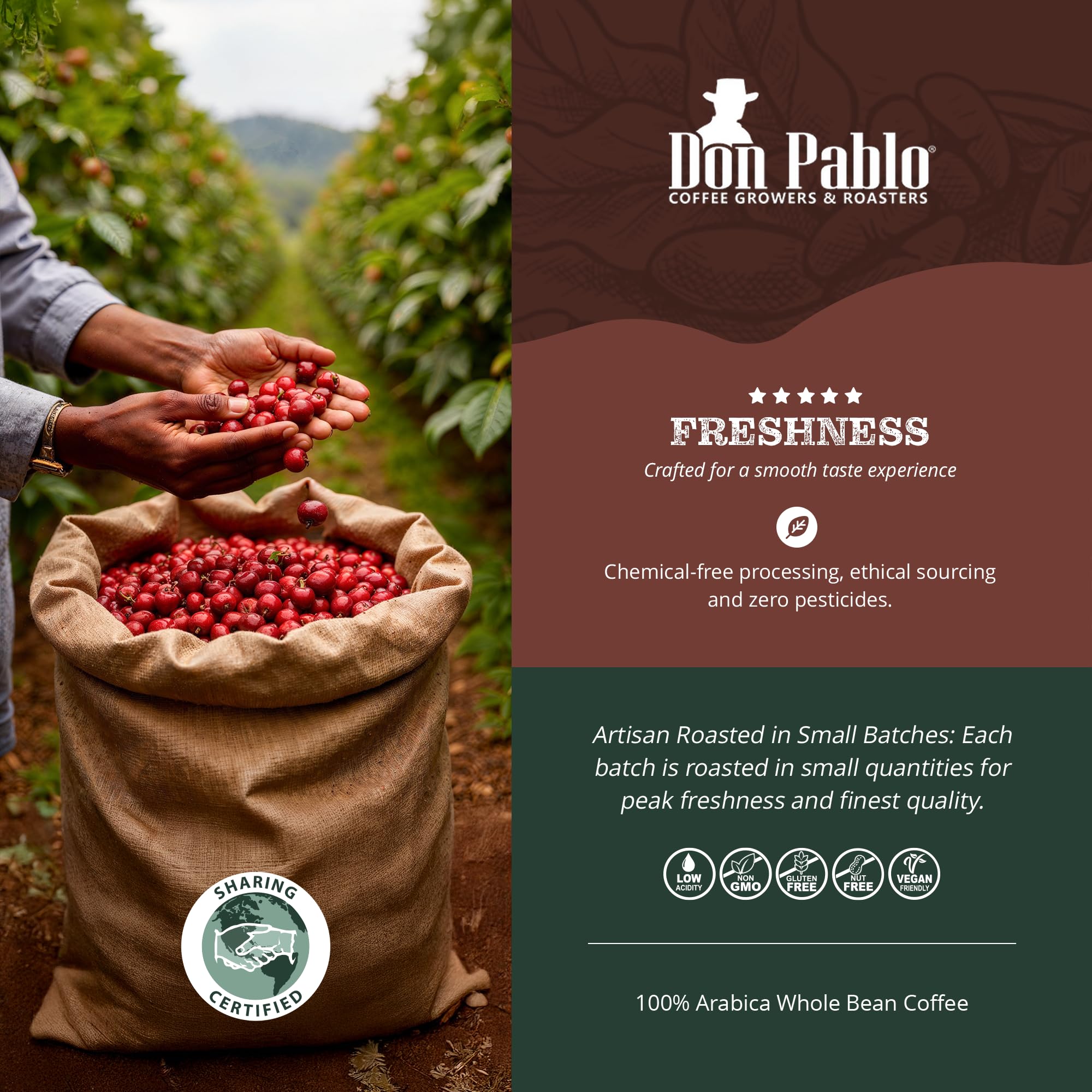 Cafe Don Pablo 2 lb package for home brewing and gatherings.