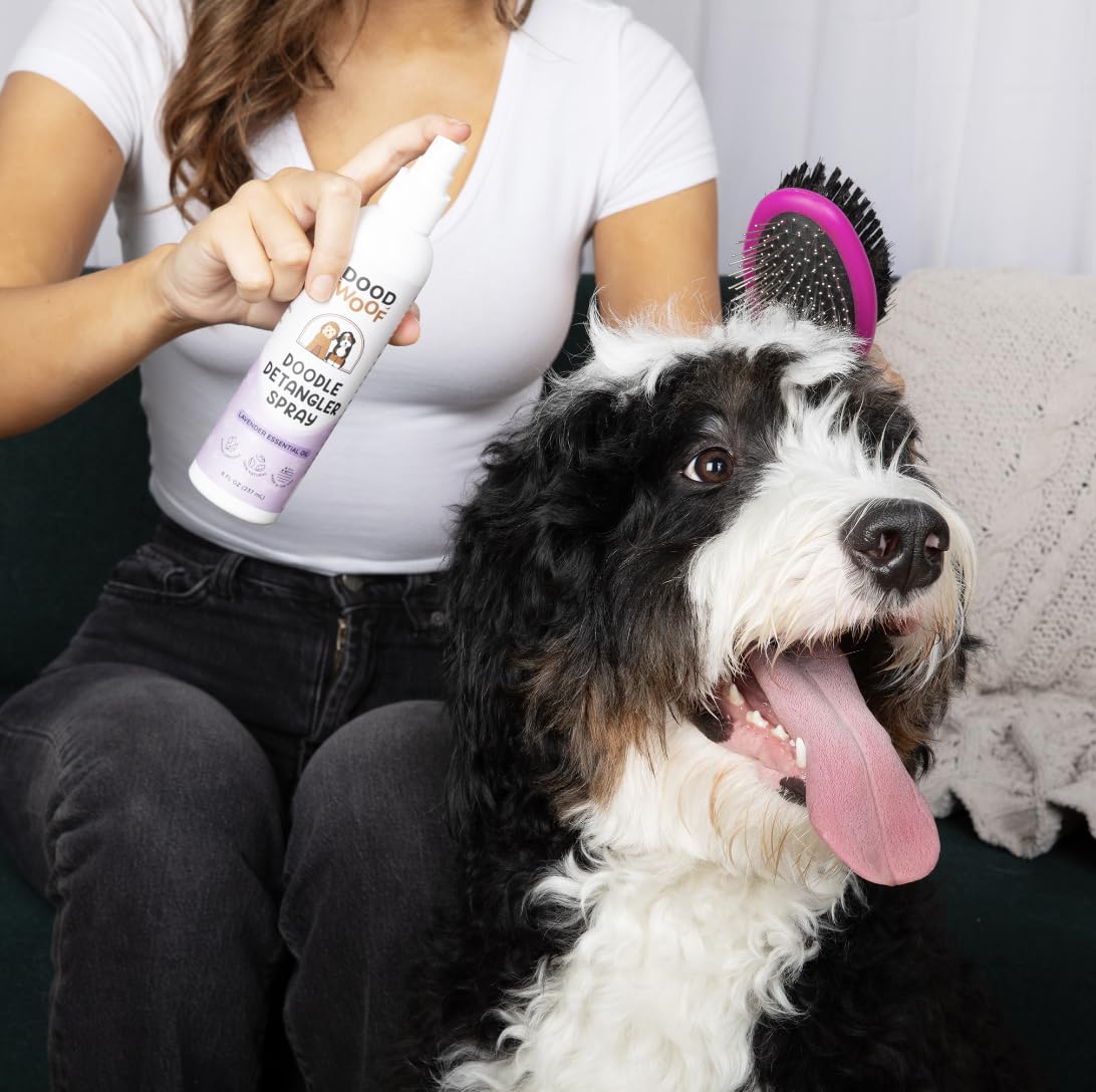 Silicone-free DOOD WOOF detangler spray on coat during grooming.