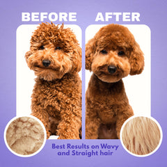 Close-up of soft coat with DOOD WOOF detangler spray in use.