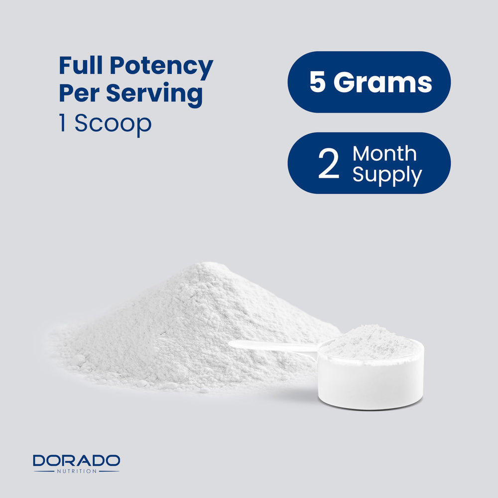 60 serving Dorado Nutrition creatine container for daily supplementation