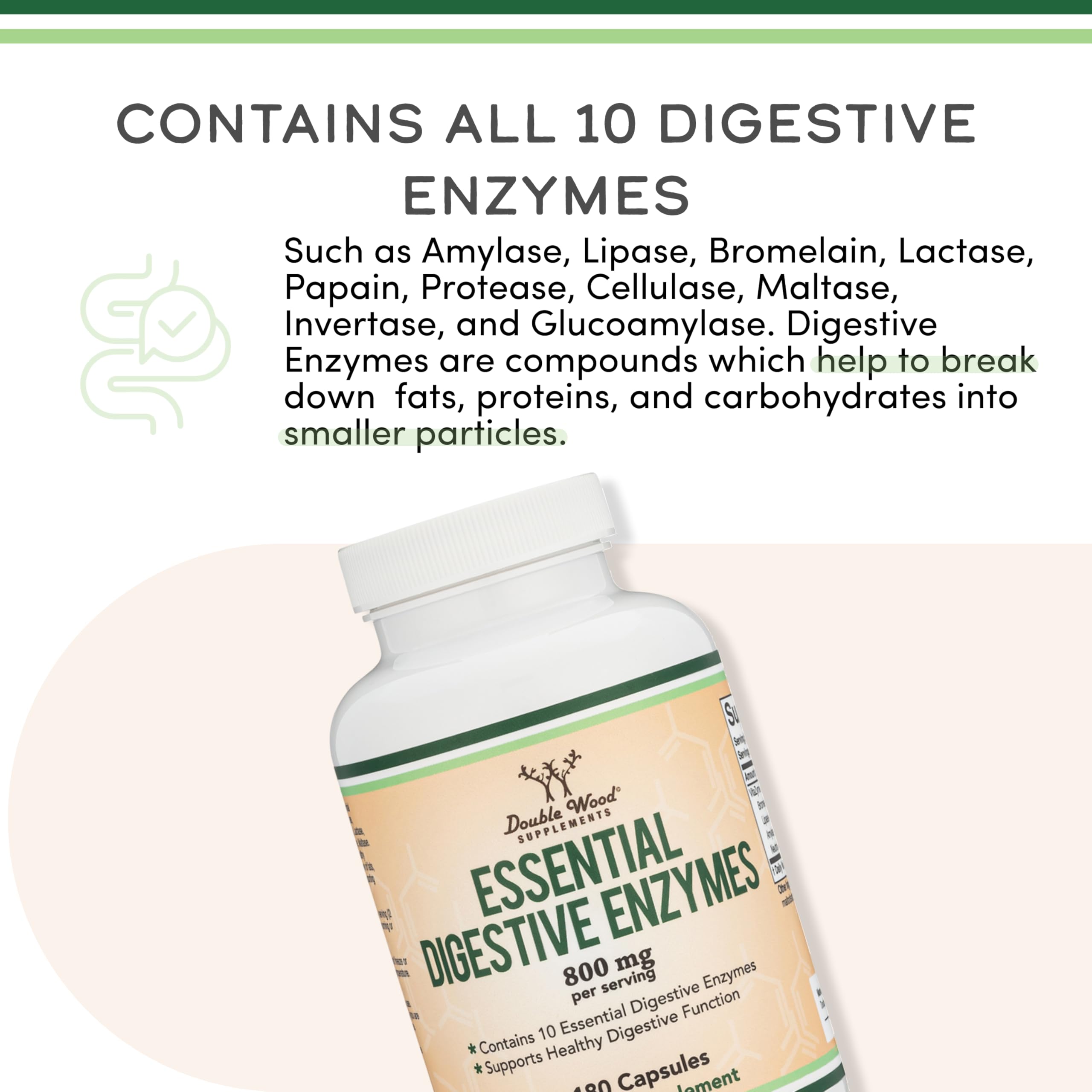 Double Wood Digestive Enzymes dosage scoop next to the bottle.