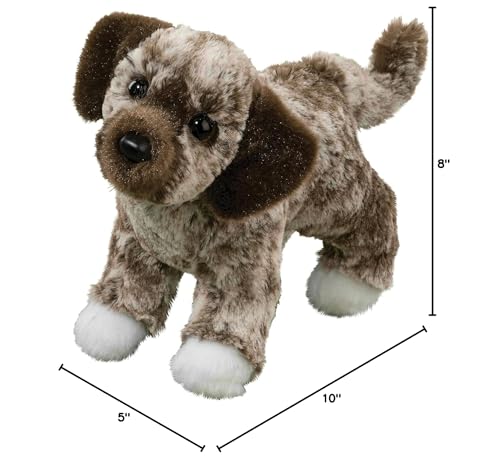 Douglas Spud with amber eyes and white paws, ideal for take-along adventures