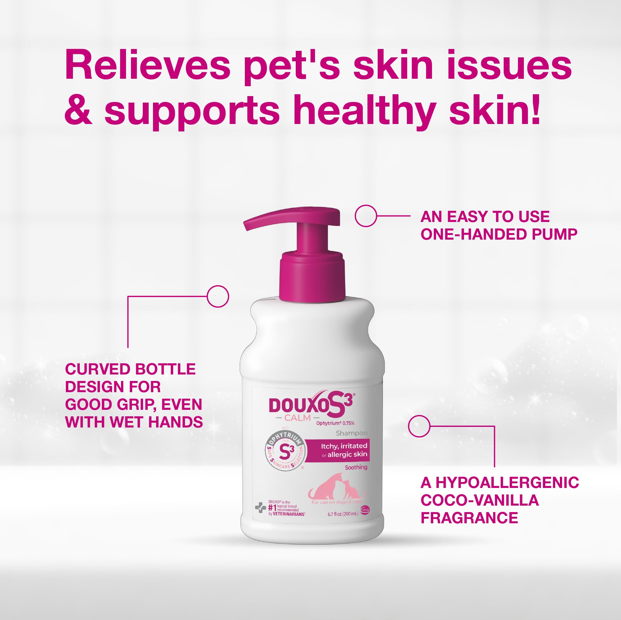 Lathering a cat’s coat with Douxo S3 CALM shampoo