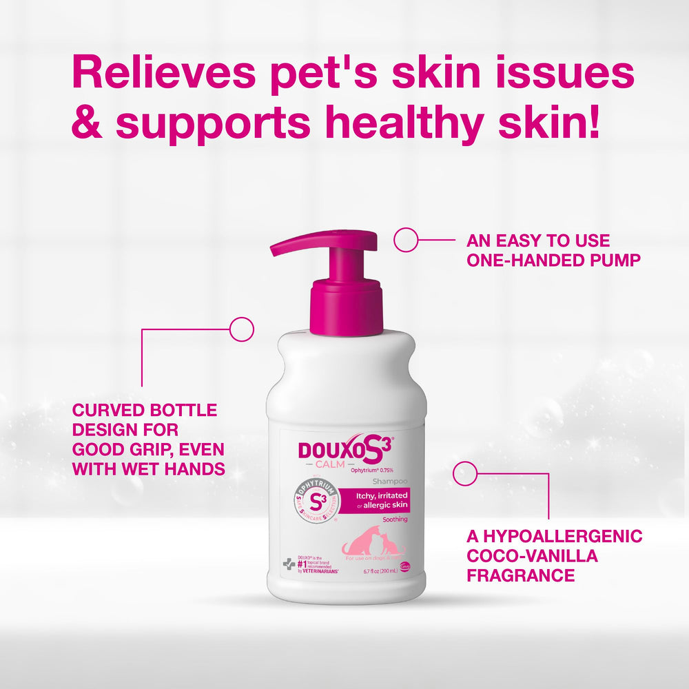 Lathering a cat’s coat with Douxo S3 CALM shampoo