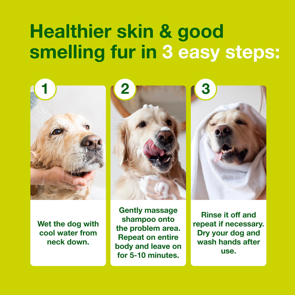 Cat grooming with Douxo S3 Seb Shampoo helps manage flaky skin.