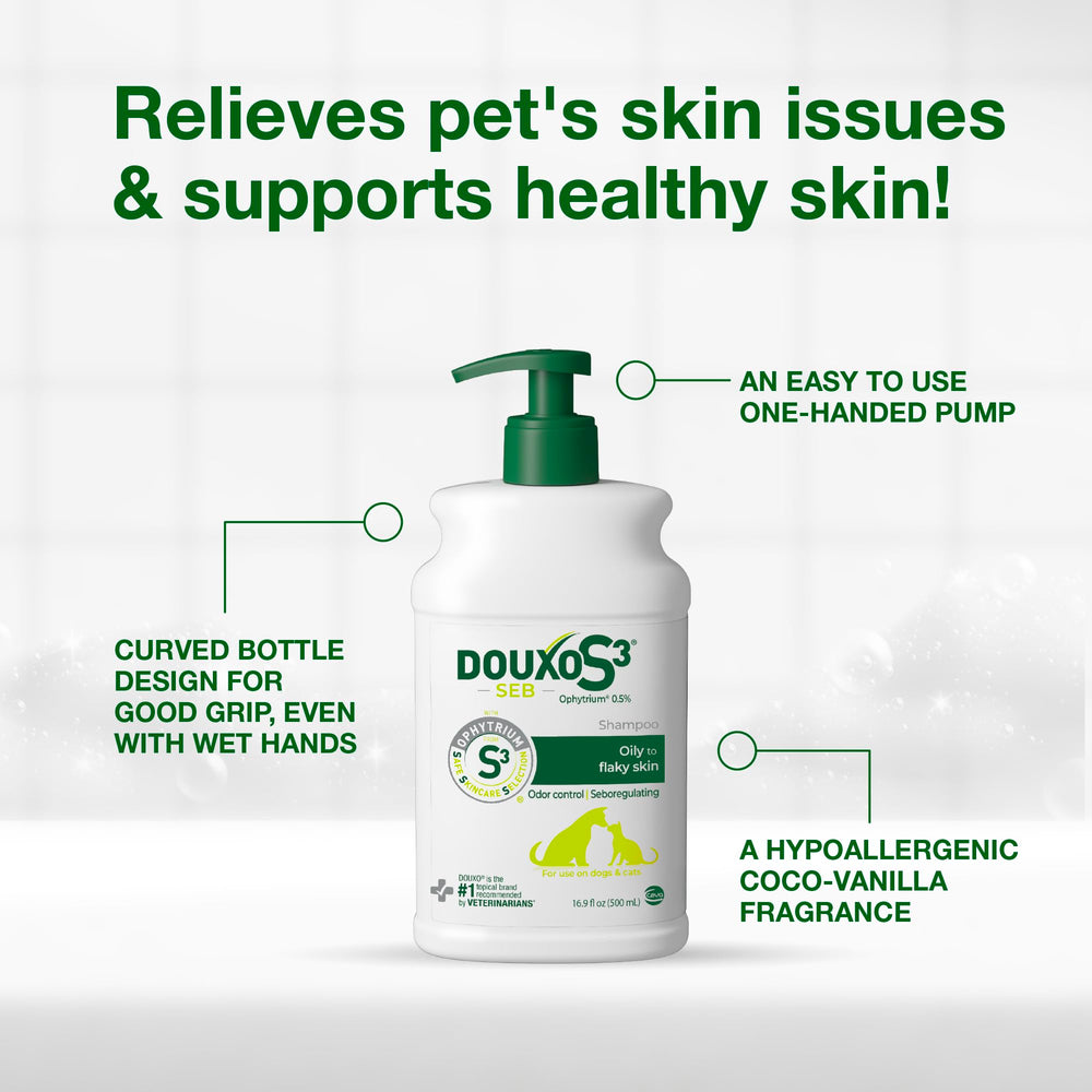 Dog with shiny coat after using Douxo S3 Seb Shampoo.