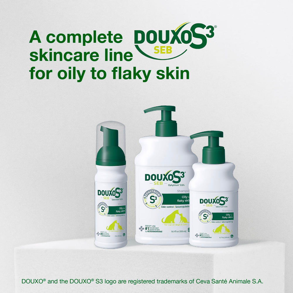 Mousse-like lather from Douxo S3 Seb Shampoo.
