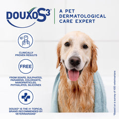 Douxo S3 Seb Shampoo-treated coat looks soft and shiny after wash.