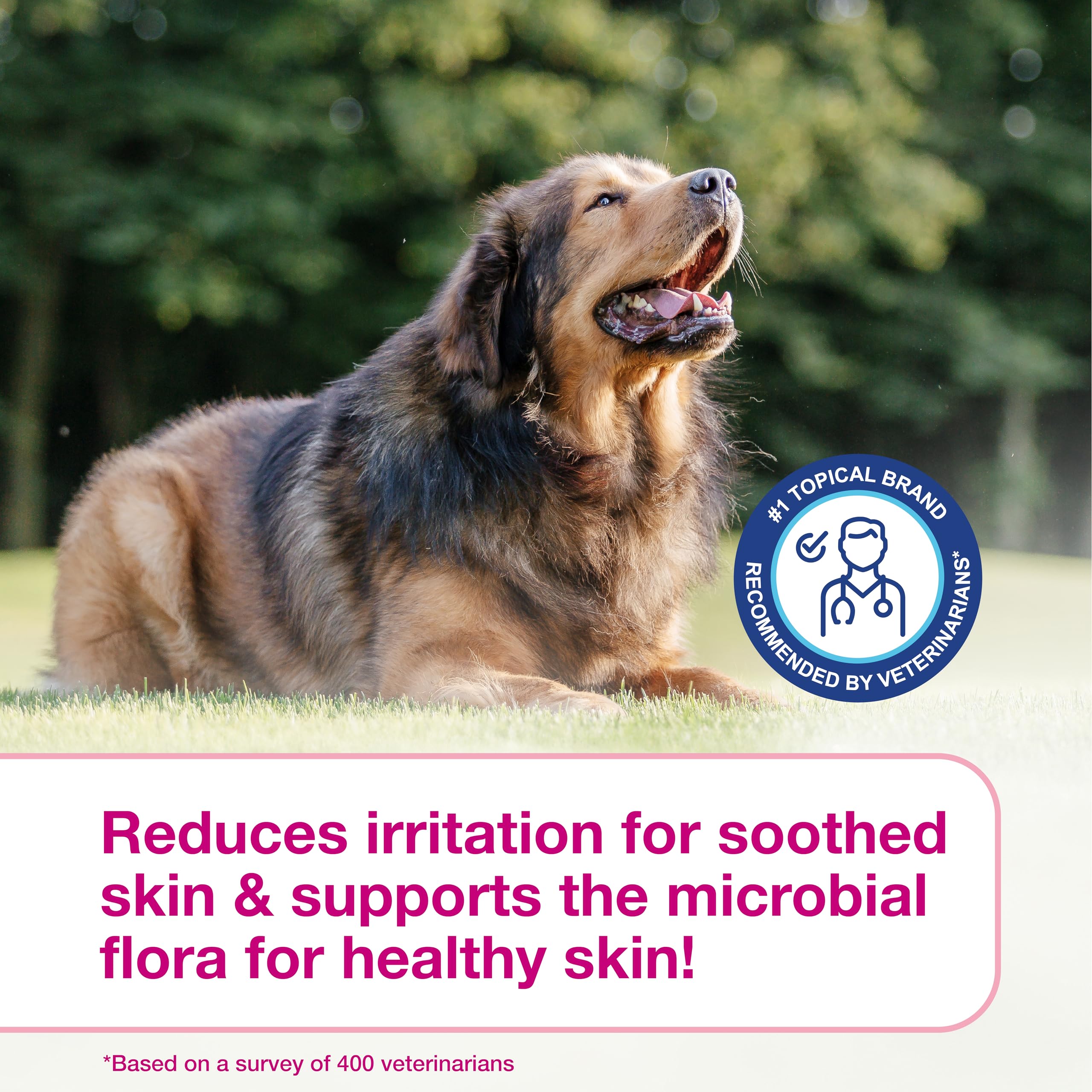 Douxo S3 Calm Mousse resulting in soft, shiny fur.