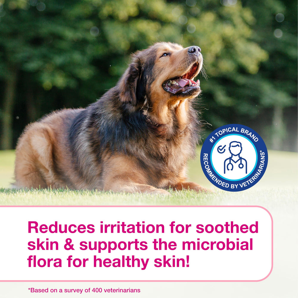 Douxo S3 Calm Mousse resulting in soft, shiny fur.