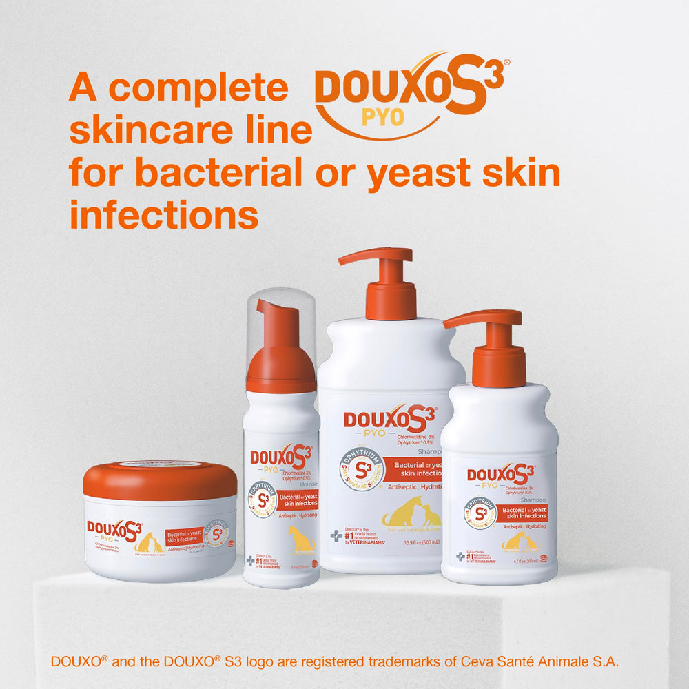 Dog enjoying grooming time with Douxo S3 Pyo Mousse.
