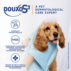 Mousse being applied to a dog's coat for detangling and hydration.