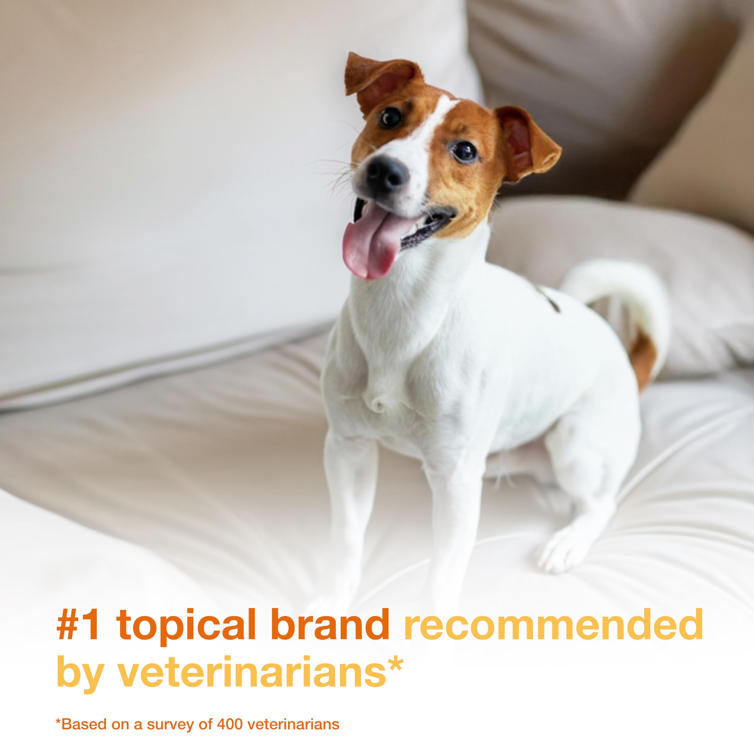 Douxo S3 Pyo Pads application on a dog shows easy antiseptic cleansing.