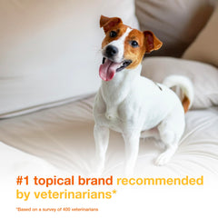Douxo S3 Pyo Pads application on a dog shows easy antiseptic cleansing.