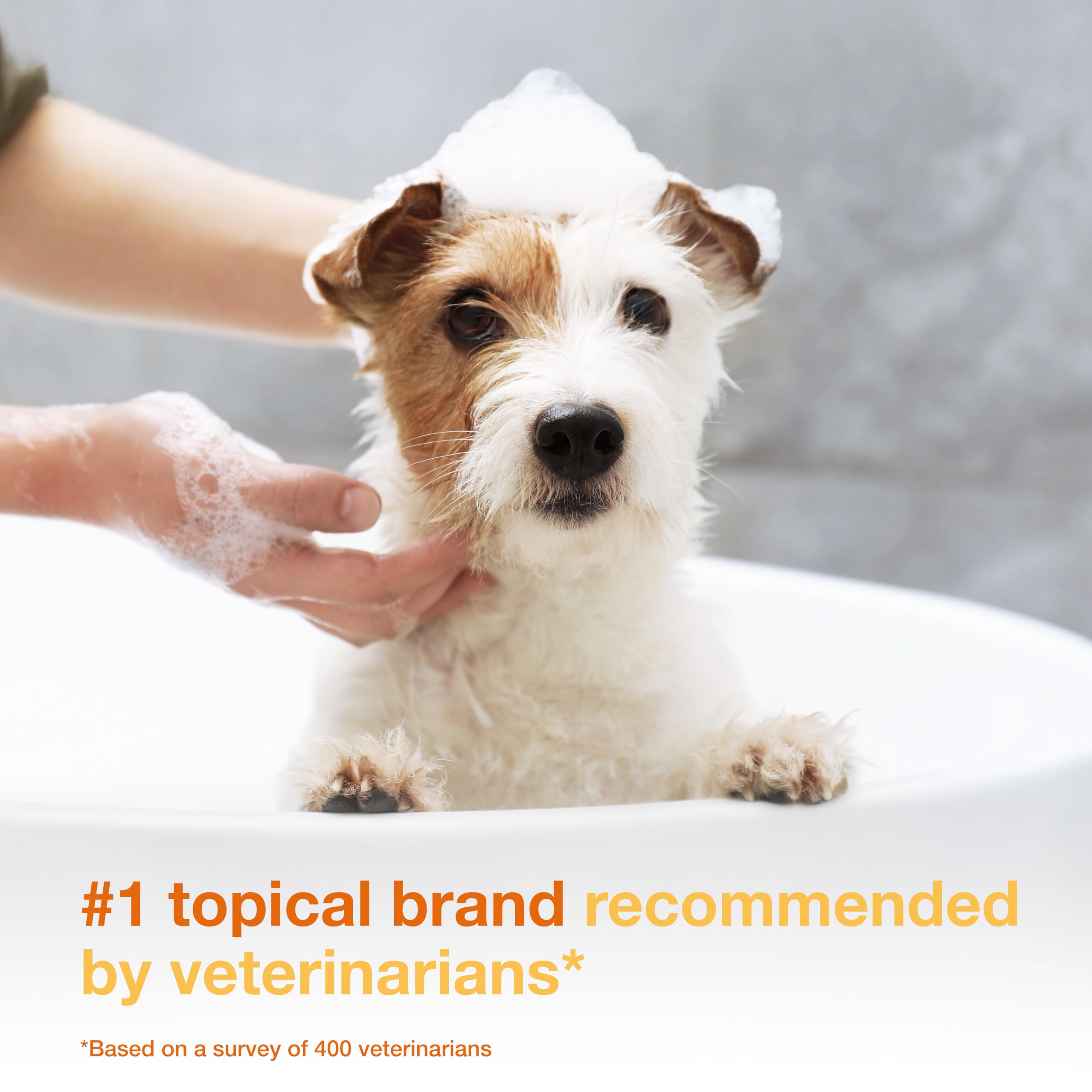 Douxo S3 Pyo Shampoo lather highlights rich foam for thorough cleansing.