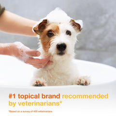 Douxo S3 Pyo Shampoo lather highlights rich foam for thorough cleansing.