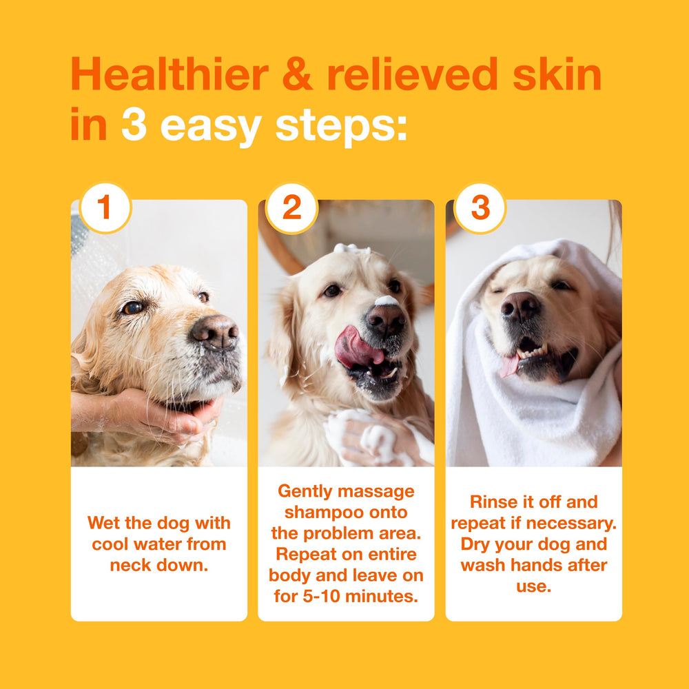 Douxo S3 Pyo Shampoo liquid-amber indicates a clean formula.