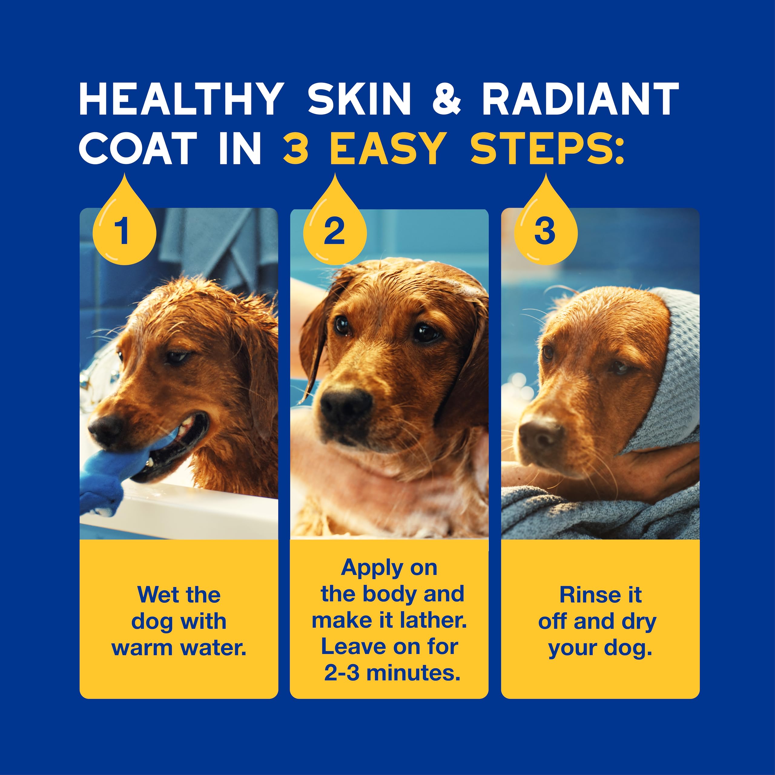 Dog with a glossy, healthy-looking coat after using Douxo spa shampoo.