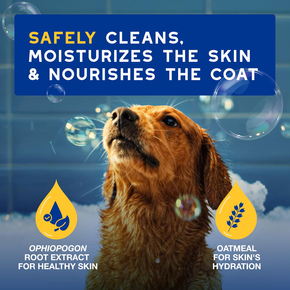 Wet dog during bath showing gentle cleansing with Douxo shampoo.