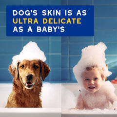 Dog with silky coat after Douxo conditioner application