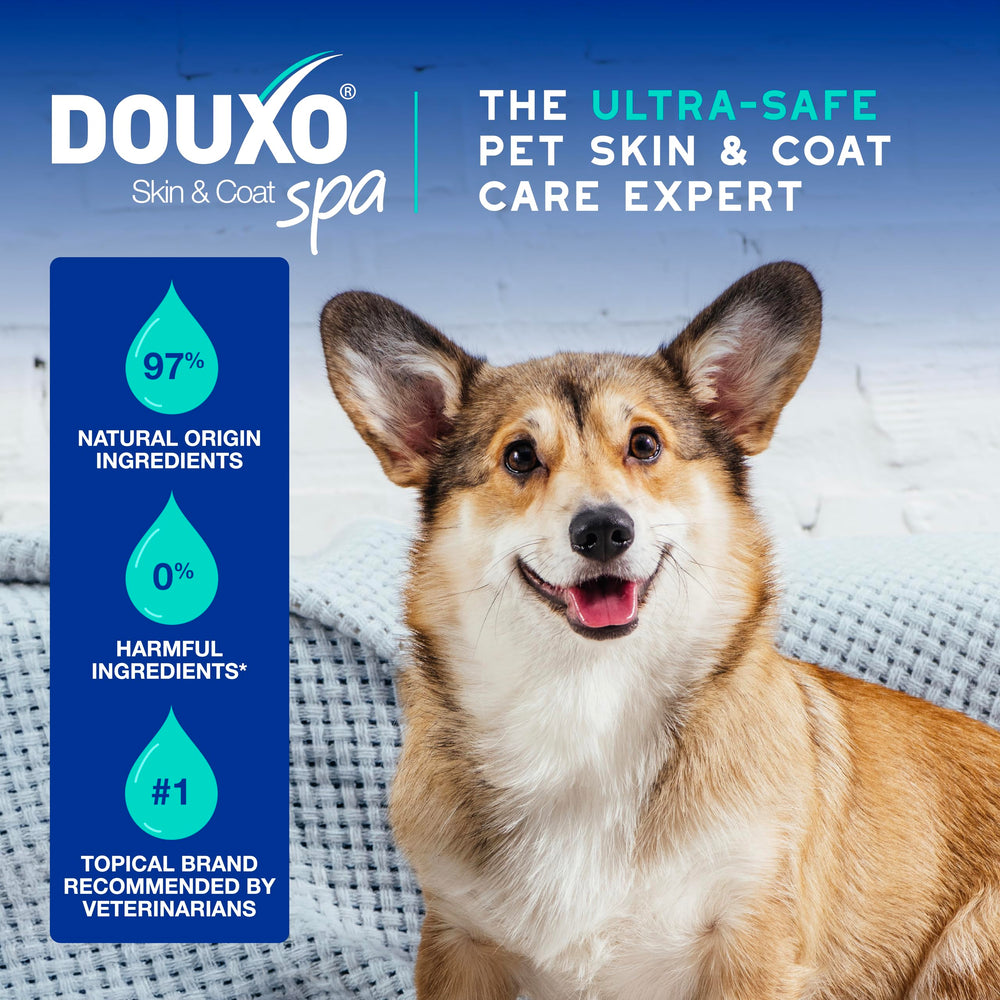 Vet-recommended DOUXO product line for complete skin and coat care.