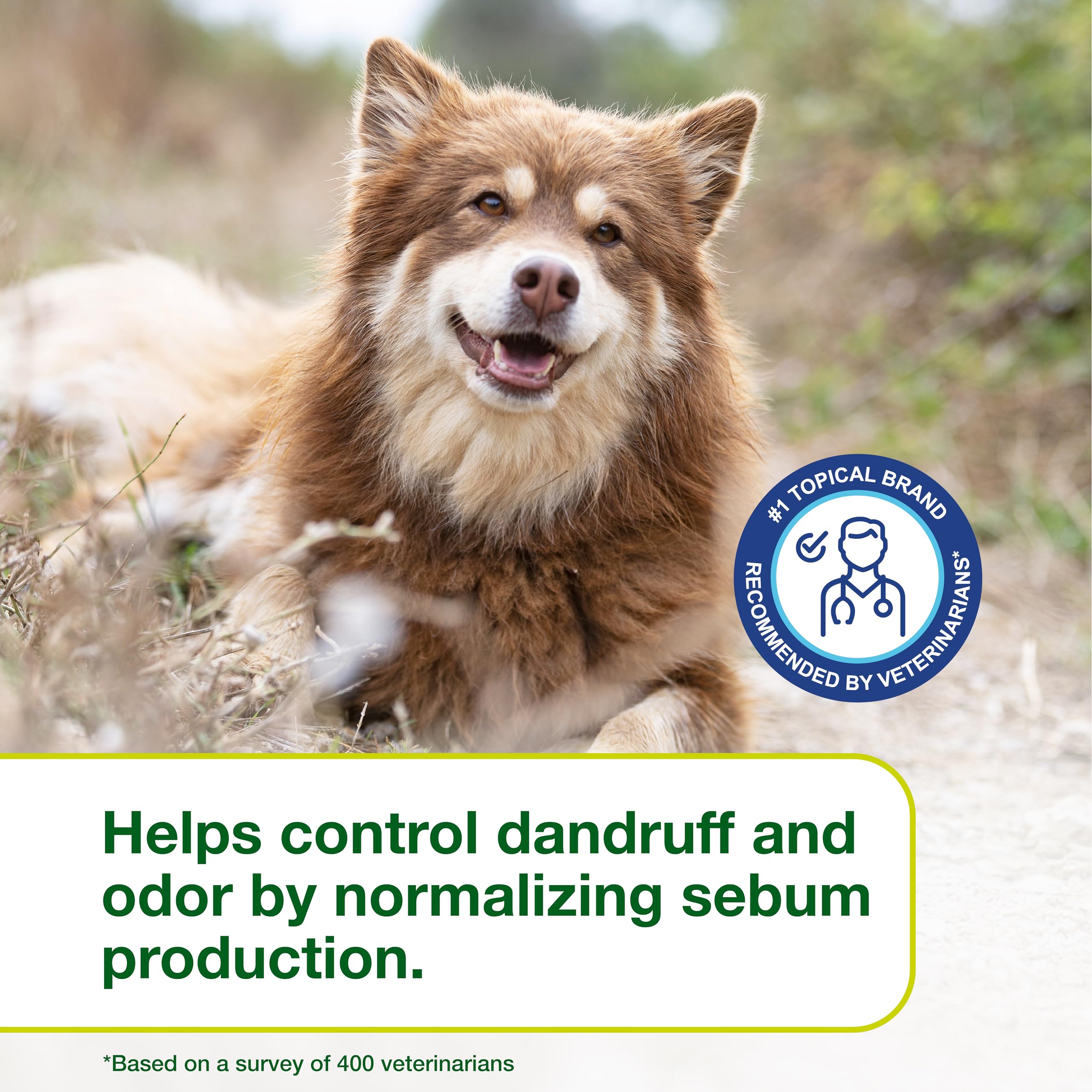 DOUXO S3 SEB shampoo used on dogs and cats during grooming.