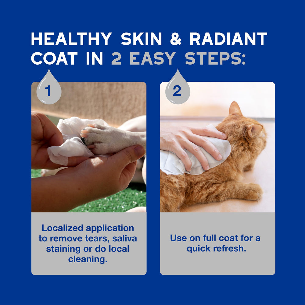DOUXO Skin and Coat SPA wipes convenient pet care routine