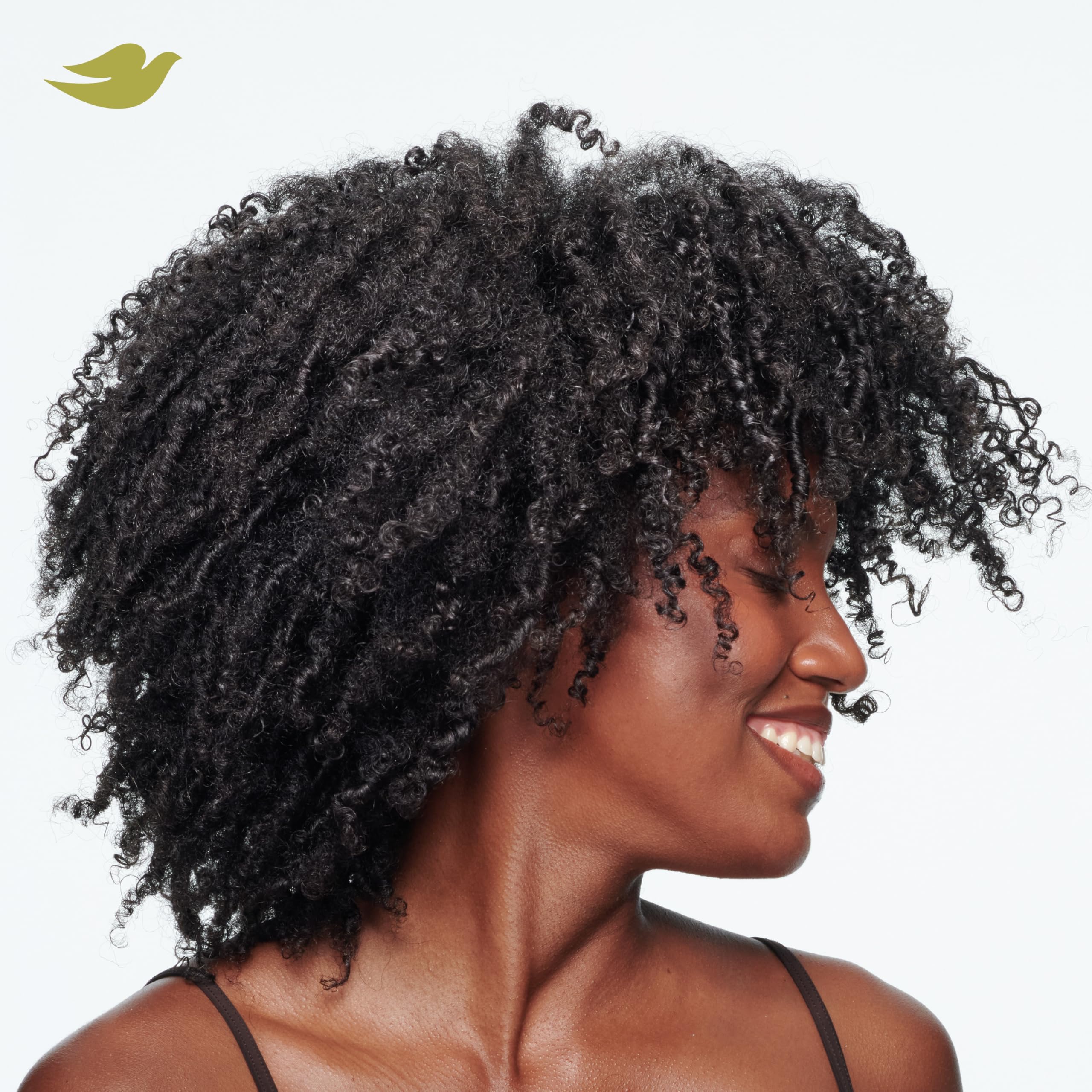 Dove Amino Curl Cream ingredient panel highlights Amino Complex.