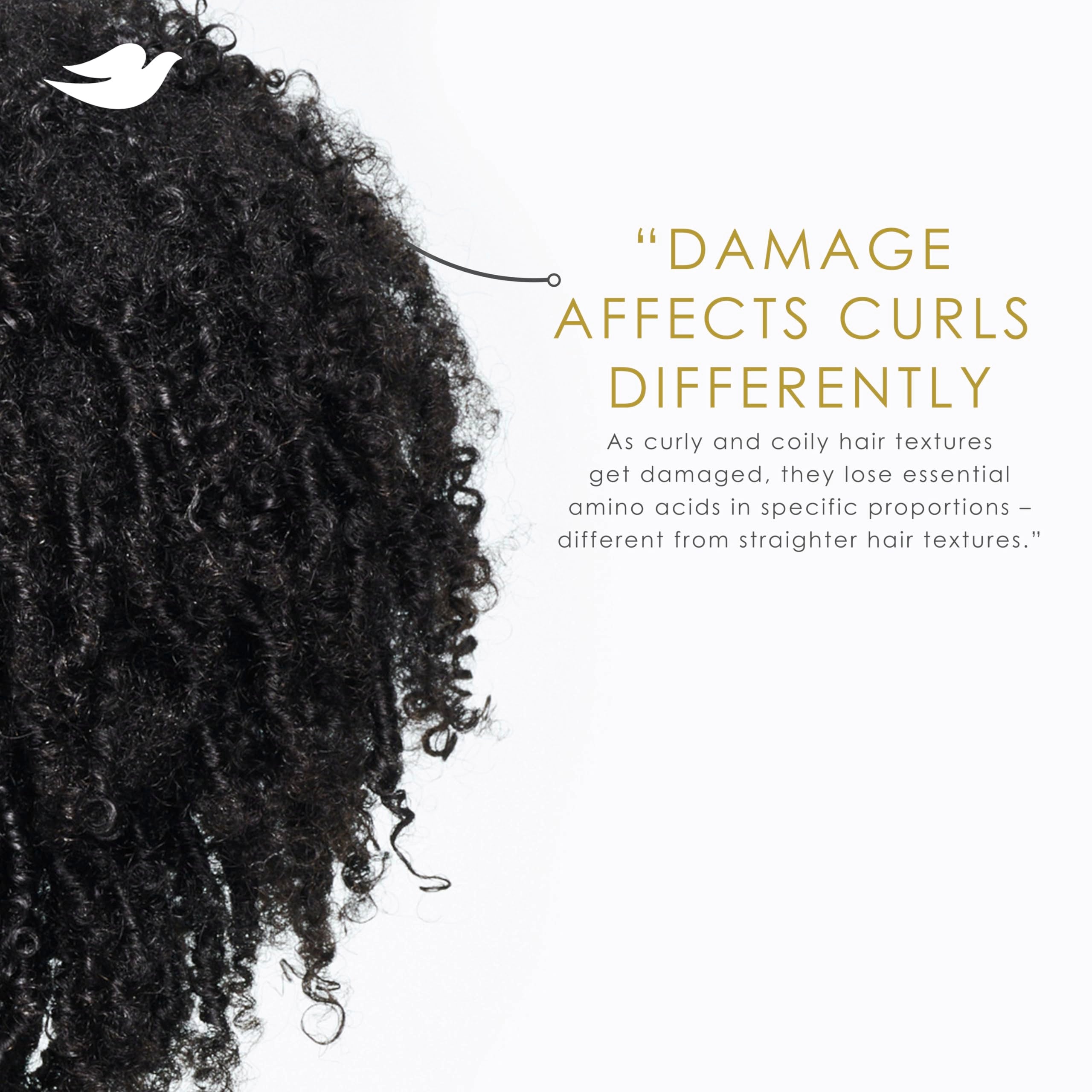 Dove Amino Curl Cream on damp hair ready for air-dry.