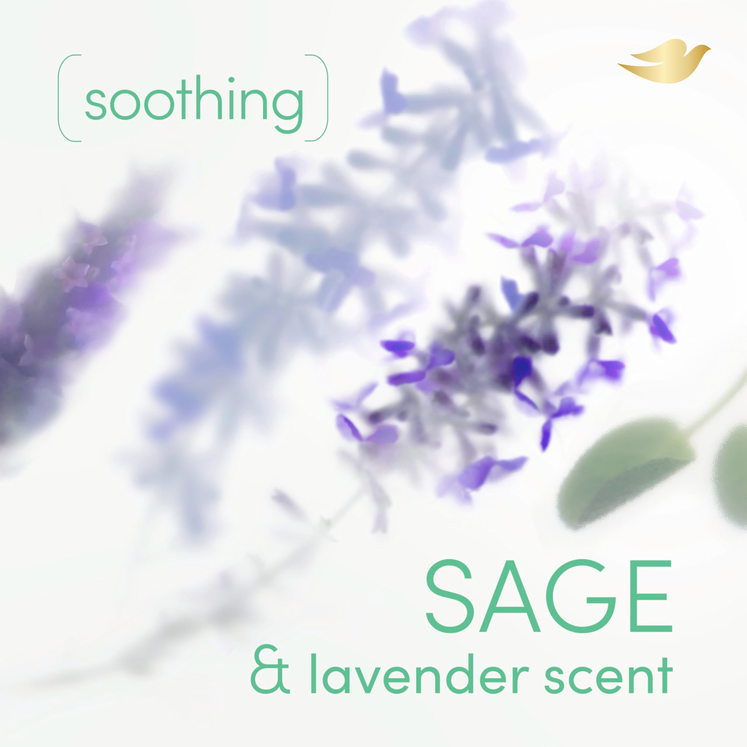 Dove mist disperses on torso, leaving invisible, quick-drying finish.