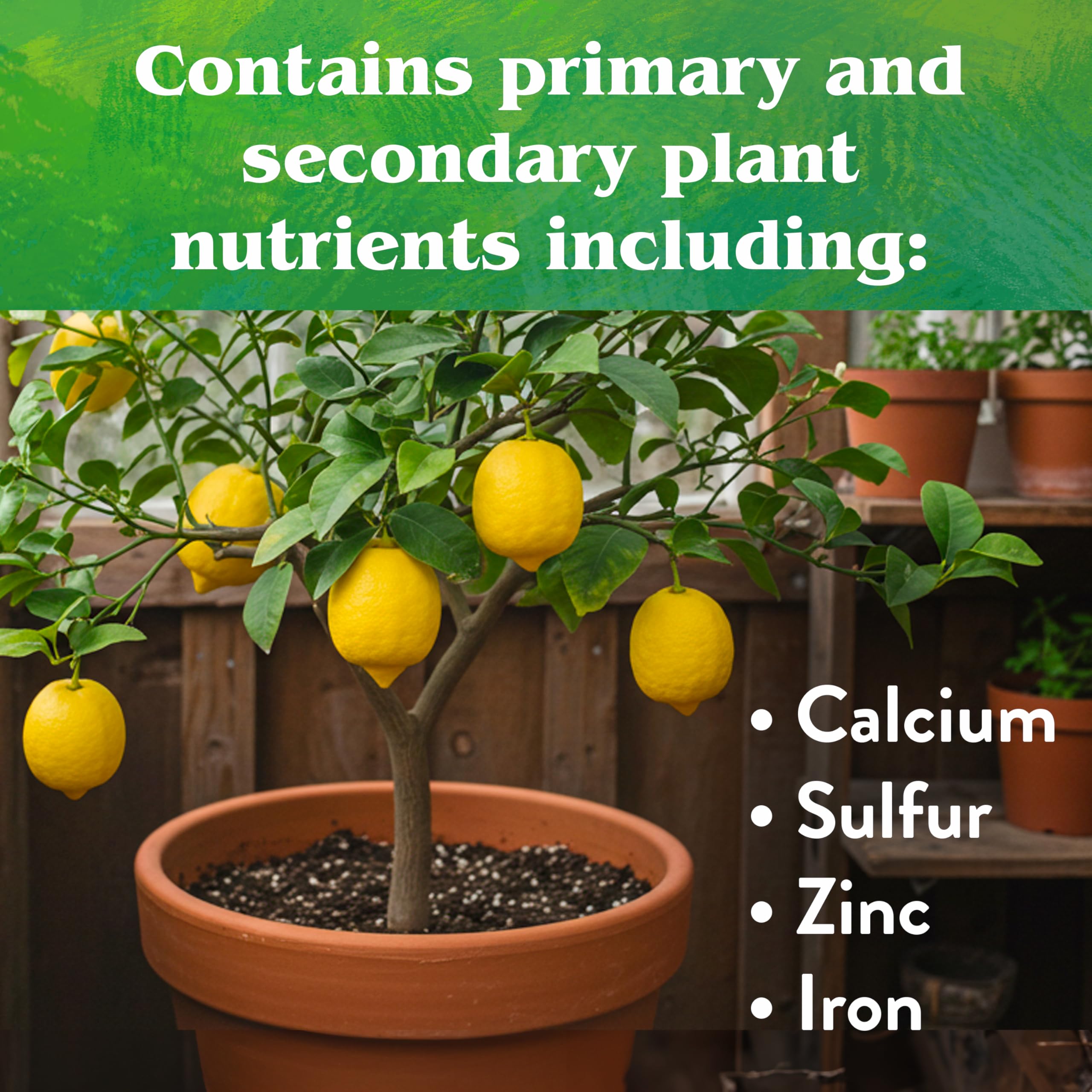 Down To Earth Citrus Mix green leaves close up suggests healthy canopy