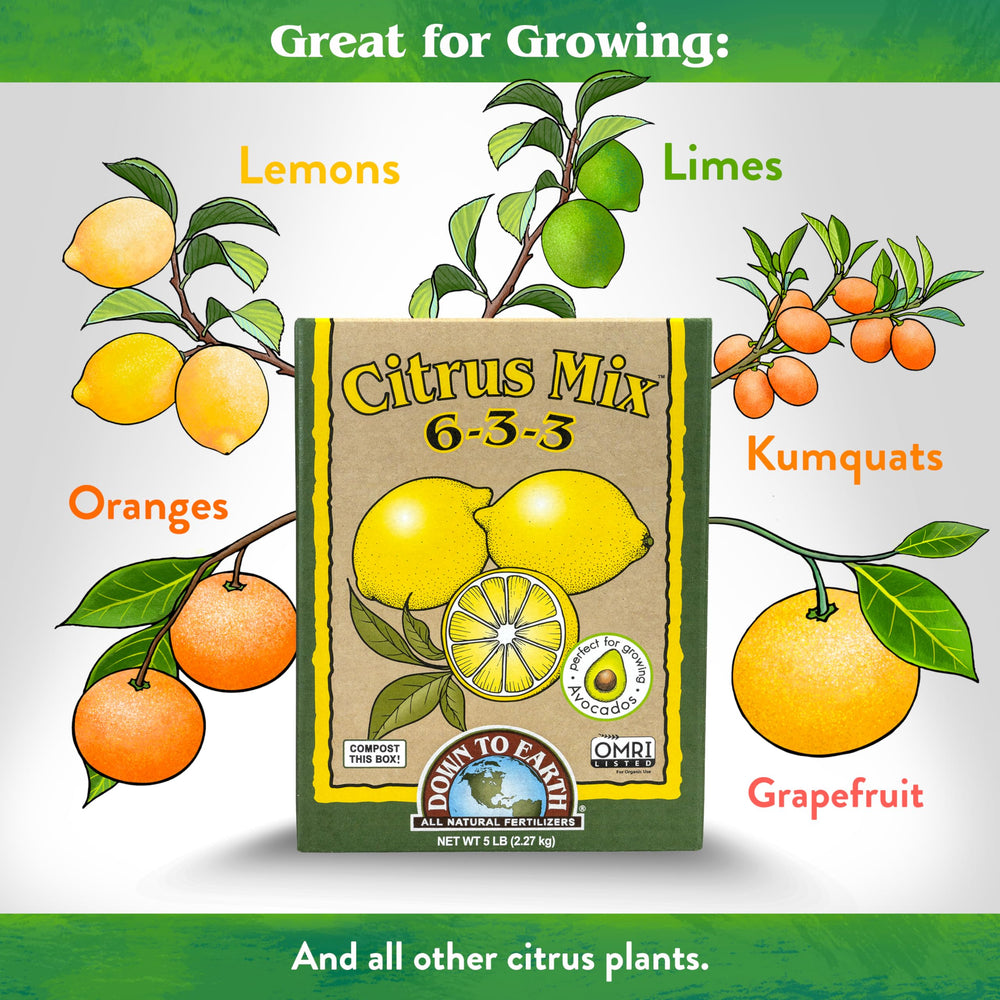 Down To Earth Citrus Mix ingredients image shows balanced nutrients for vibrant foliage