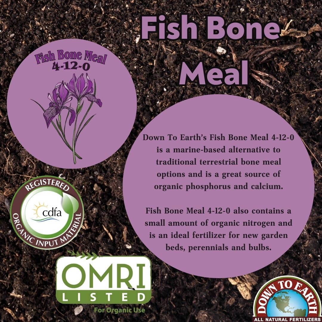Roots developing with Down To Earth Fish Bone Meal in the soil