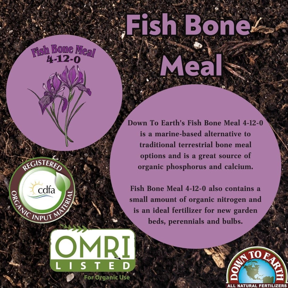 Roots developing with Down To Earth Fish Bone Meal in the soil