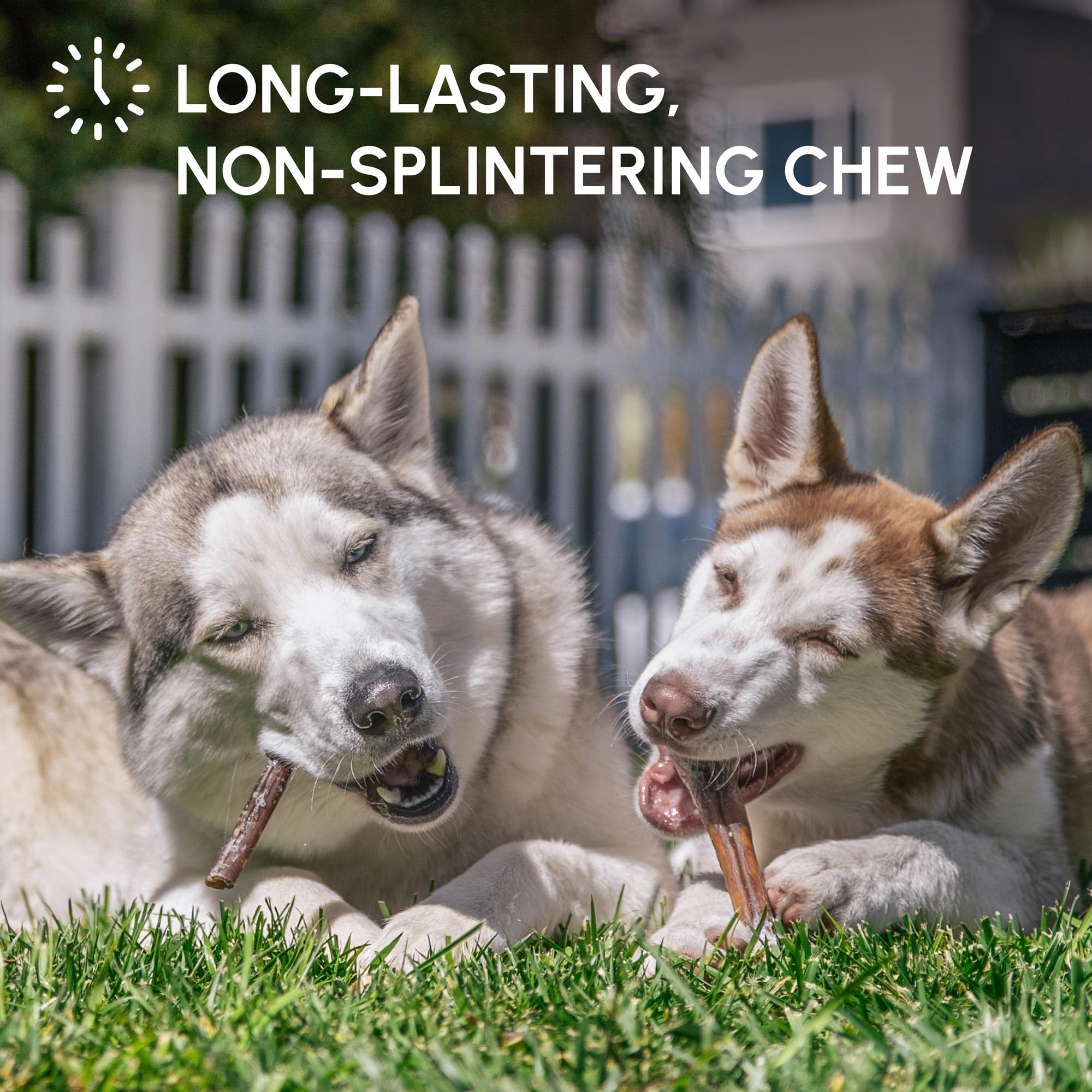 Downtown Pet Supply USA-sourced bully sticks ensure quality and traceability for pets