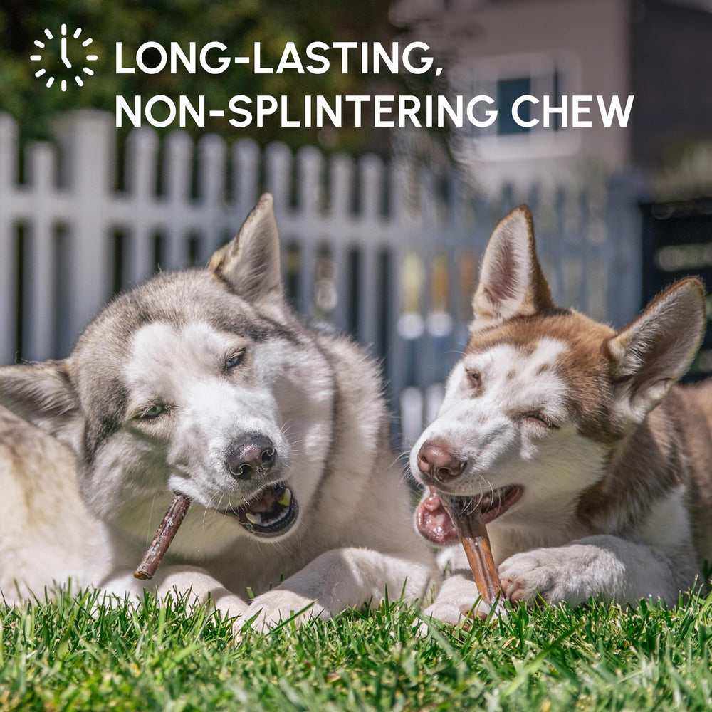 Downtown Pet Supply USA-sourced bully sticks ensure quality and traceability for pets