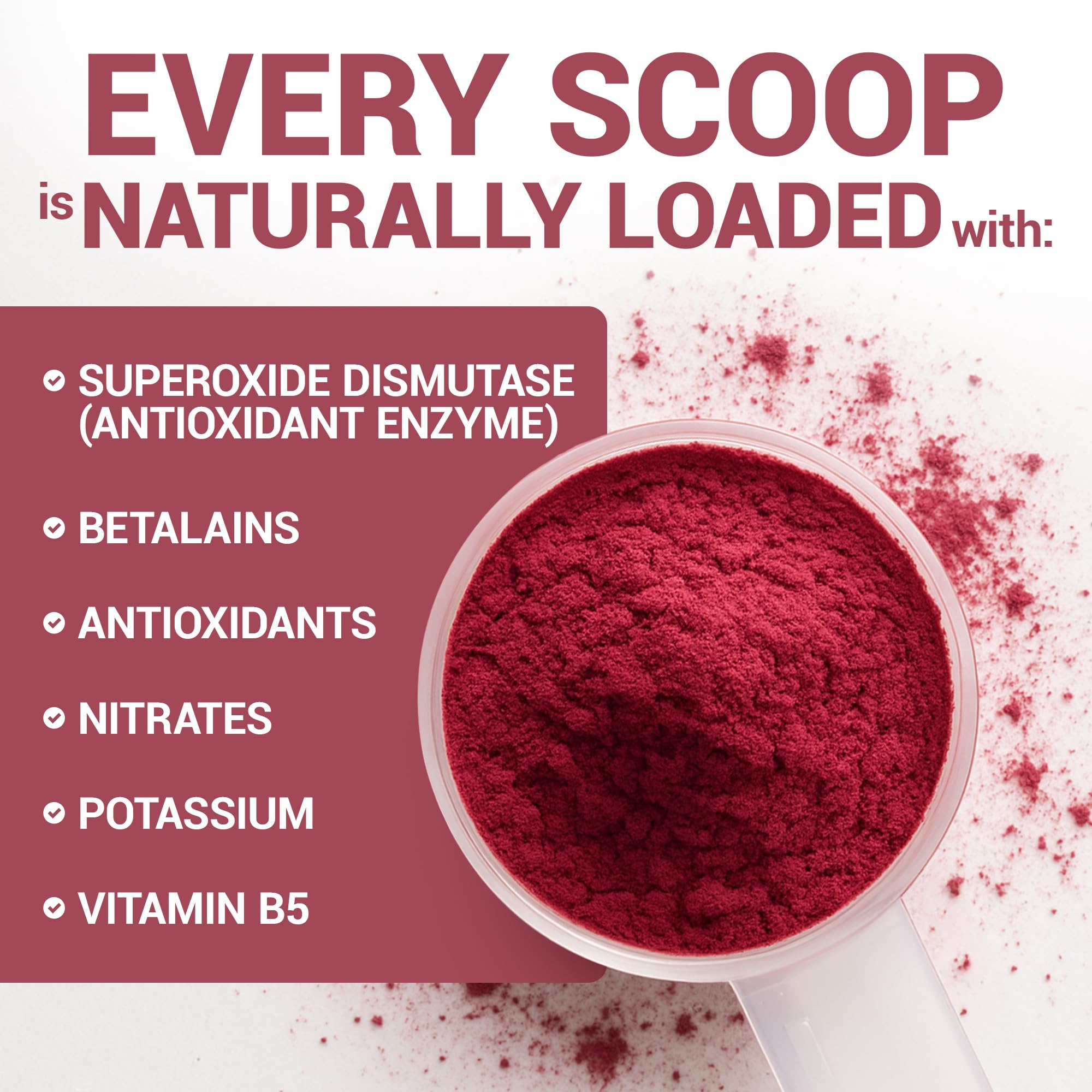 Dr. Berg Nutritionals beet powder close-up highlighting betalain-rich red color.