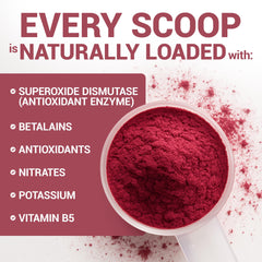Dr. Berg Nutritionals beet powder close-up highlighting betalain-rich red color.