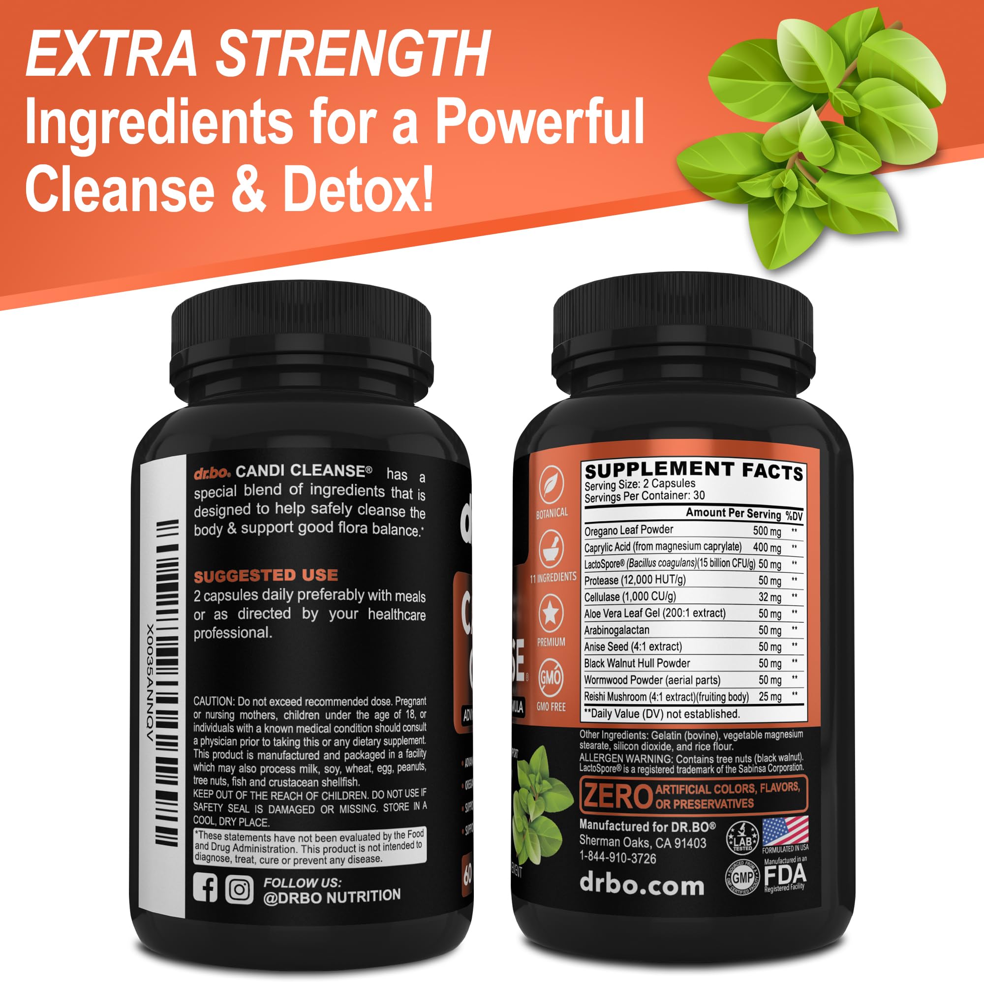 DR. BO Candi Cleanse bottle on a shelf for lifestyle-friendly detox support