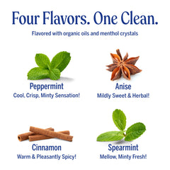 Display of Dr. Bronner's All-One toothpaste four-flavor variety pack for family use.