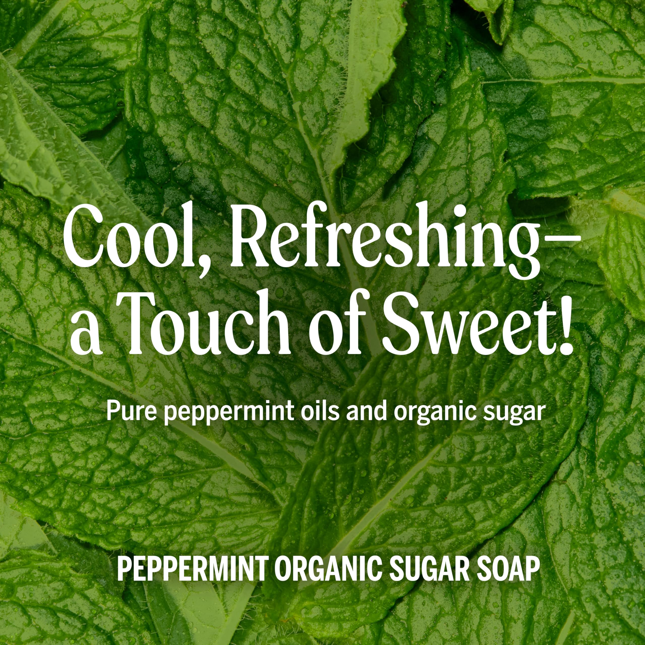 Close-up of organic ingredients in Dr. Bronner's Peppermint Sugar Soap for nourished skin.