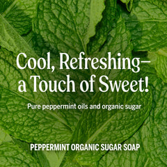 Close-up of organic ingredients in Dr. Bronner's Peppermint Sugar Soap for nourished skin.