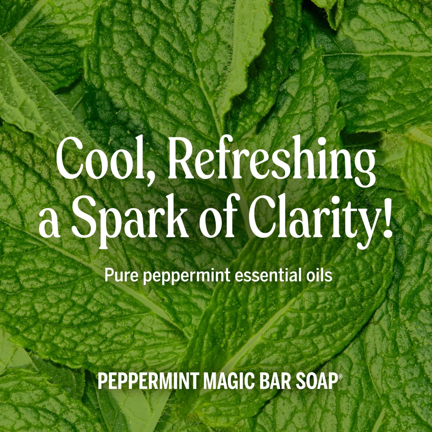 Dr. Bronner's peppermint liquid bottle used for dishes and surfaces