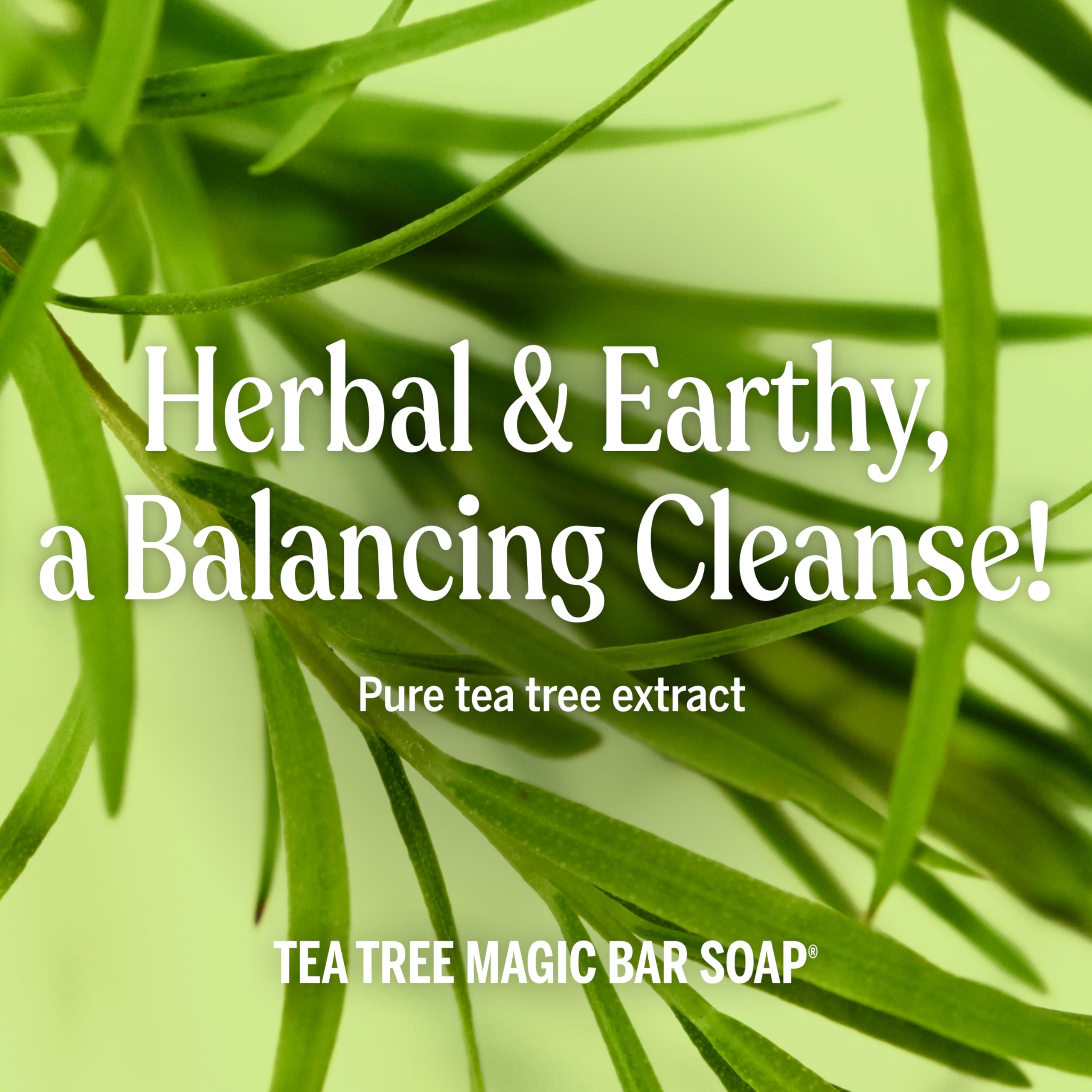 Dr. Bronner's Tea Tree Bar features key ingredients for cleansing.